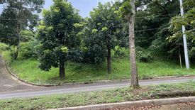 Land for sale in Cuyambay, Rizal