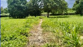 Land for sale in Santo Domingo, Laguna