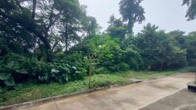 Land for sale in Mahabang Parang, Rizal