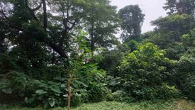 Land for sale in Mahabang Parang, Rizal