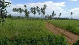 Land for sale in San Antonio, Negros Oriental