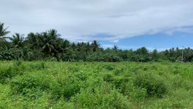 Commercial for sale in Tugawe, Negros Oriental