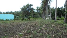 Land for sale in Liptong, Negros Oriental