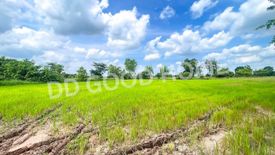 ขายที่ดิน ใน พังเทียม, พระทองคำ