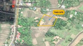 Land for sale in Bongbong, Bohol