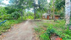 Land for sale in Poblacion, Bohol