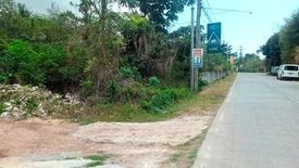 Land for sale in Danao, Bohol