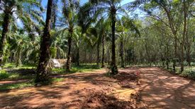 Land for sale in Nong Thale, Krabi