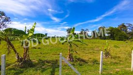 Land for sale in Nong Khai Nam, Nakhon Ratchasima