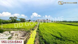 Land for rent in Phrong Akat, Chachoengsao