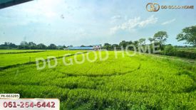 Land for rent in Phrong Akat, Chachoengsao