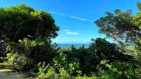 Land for sale in Tan-Awan, Bohol