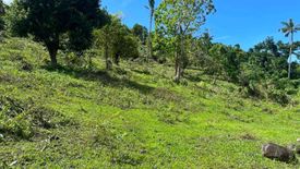 Land for sale in Tan-Awan, Bohol