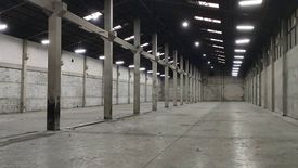 2 Bedroom Warehouse / Factory for rent in Salaya, Nakhon Pathom