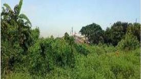 Land for sale in Moonwalk, Metro Manila