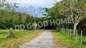 Land for sale in Tha Wang Tan, Chiang Mai