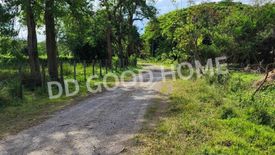 Land for sale in Tha Wang Tan, Chiang Mai