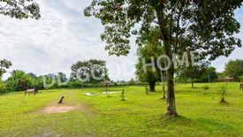 Land for sale in Mae Sao, Chiang Mai