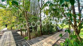 Land for sale in Mae Sao, Chiang Mai