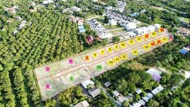 Land for sale in Yang Noeng, Chiang Mai