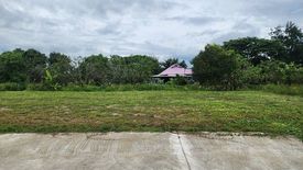 Land for sale in Yang Noeng, Chiang Mai