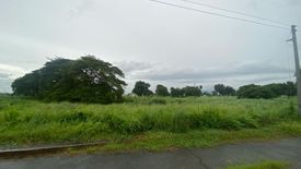 Land for sale in Santo Rosario, Pampanga