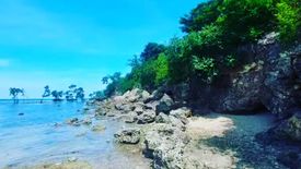 Land for sale in Bitoon, Cebu