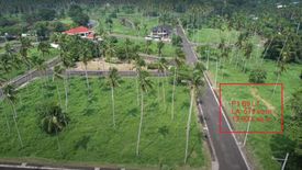 Land for sale in Bulakin, Quezon