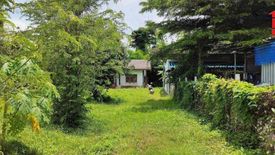 Land for sale in Phrommani, Nakhon Nayok