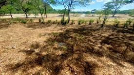 Land for sale in Palo Alto Leisure and Residential Estates, Tandang Kutyo, Rizal