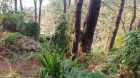 Land for sale in Fort Del Pilar, Benguet