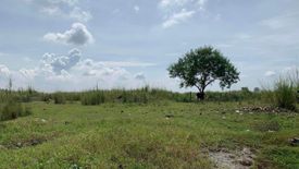 Land for sale in Manibaug Paralaya, Pampanga