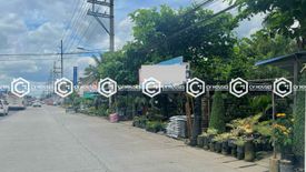 Land for rent in San Isidro, Pampanga