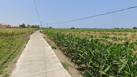 Land for sale in Casilian, Ilocos Norte