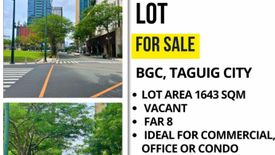 Land for sale in Taguig, Metro Manila