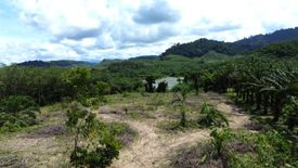 Land for sale in Bang Muang, Phang Nga