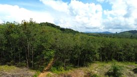 Land for sale in Bang Muang, Phang Nga