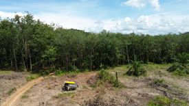 Land for sale in Bang Muang, Phang Nga