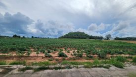 Land for sale in Nong Prue, Chonburi