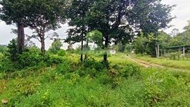 Land for sale in Na Khaem, Prachin Buri