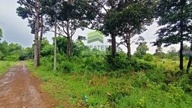 Land for sale in Na Khaem, Prachin Buri