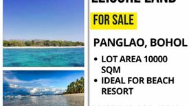 Land for sale in Danao, Bohol