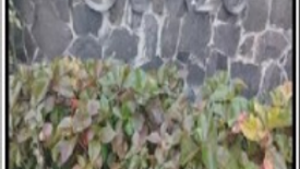 1 Bedroom Condo for sale in Hulo, Metro Manila near MRT-3 Guadalupe