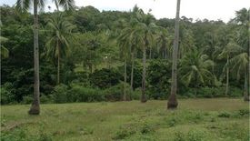 Land for sale in Agnonoc, Romblon