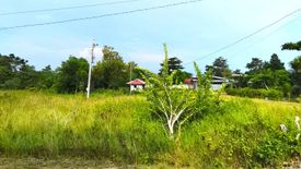 Land for sale in Tawala, Bohol