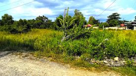 Land for sale in Tawala, Bohol