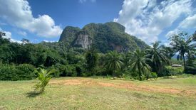 ขายที่ดิน ใน หนองทะเล, เมืองกระบี่