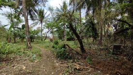 Land for sale in San Dionisio, Metro Manila