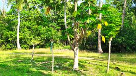 Land for sale in Tawala, Bohol