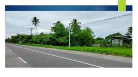 Land for sale in Mudboron, Leyte